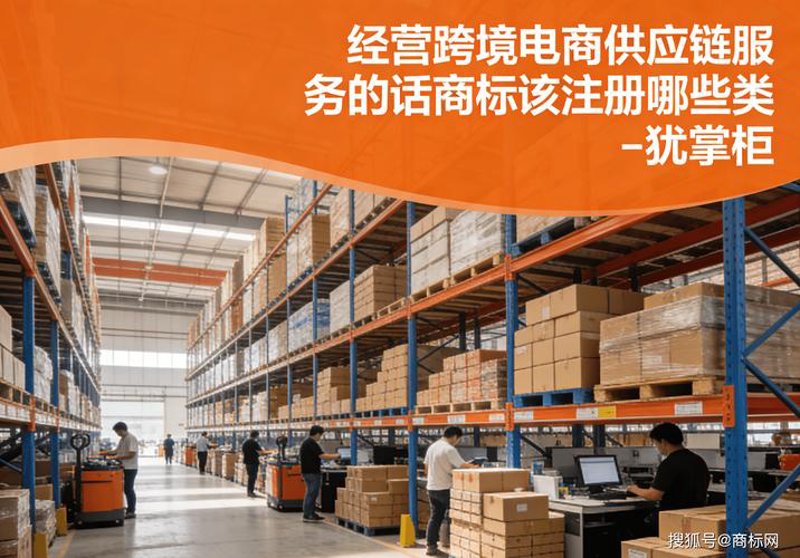 聚焦小商品供应链：动态分析与发展趋势